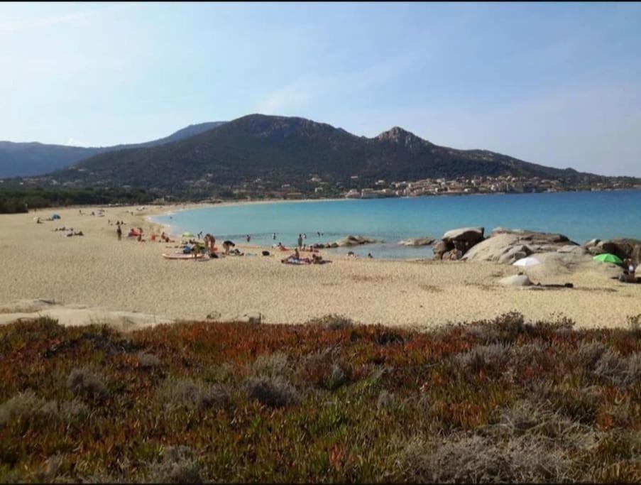 T2 Neuf Climatise Dans Villa A Corbara Buitenkant foto